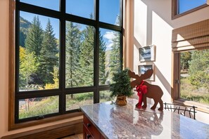 Interior - East Vail Alpine Escape (Vail)