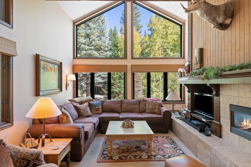 Fernseher, Kamin, Bücher