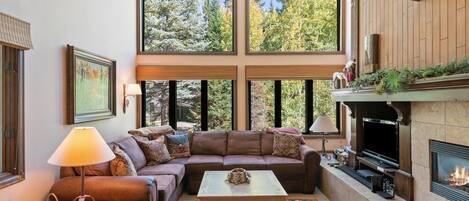 Televisión, chimenea, libros