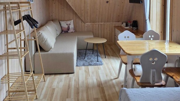 Tunnelmallinen, puinen mökki, jonka sisustuksessa on sohva, pieni pyöreä pöytä, tikkaat ja seinälle asennettu televisio.
