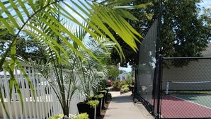 Un sendero bordeado por macetas negras con plantas verdes, una cerca blanca y una cancha de tenis al fondo.