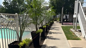 Zona de piscina con valla blanca, plantas en macetas y un camino de hormigón.