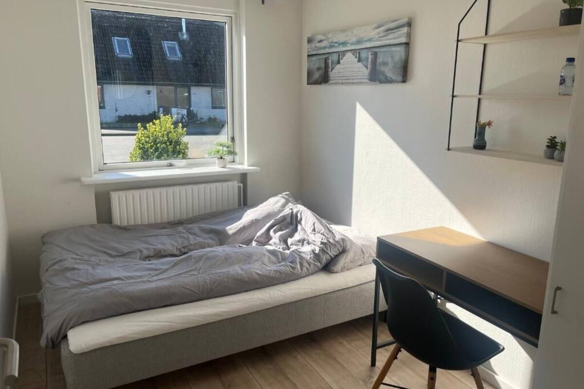 Un dormitorio con una cama, un escritorio, una silla, un radiador, una ventana y una estantería con plantas.