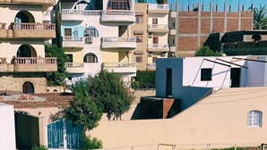 A fenced area with a horse and a dog, surrounded by buildings with balconies and a clear sky. - star- guest house (Luxor Governorate)