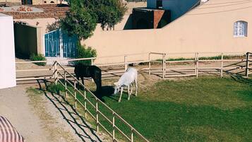 Parco della struttura