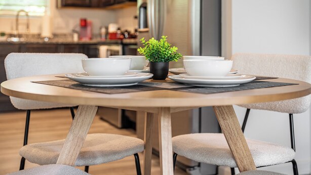 A dining table with white plates, a small potted plant, and a black placemat.