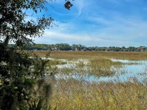 A natural landscape with a water body and trees.