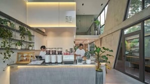 A modern reception area with a counter, coffee machines, and a person standing behind it. There are plants on shelves and a large window with a view of the outdoors. - Express by M Village Nguyen Van Thu, a brand of Modern Village Lifestyle (Ho Chi Minh City)