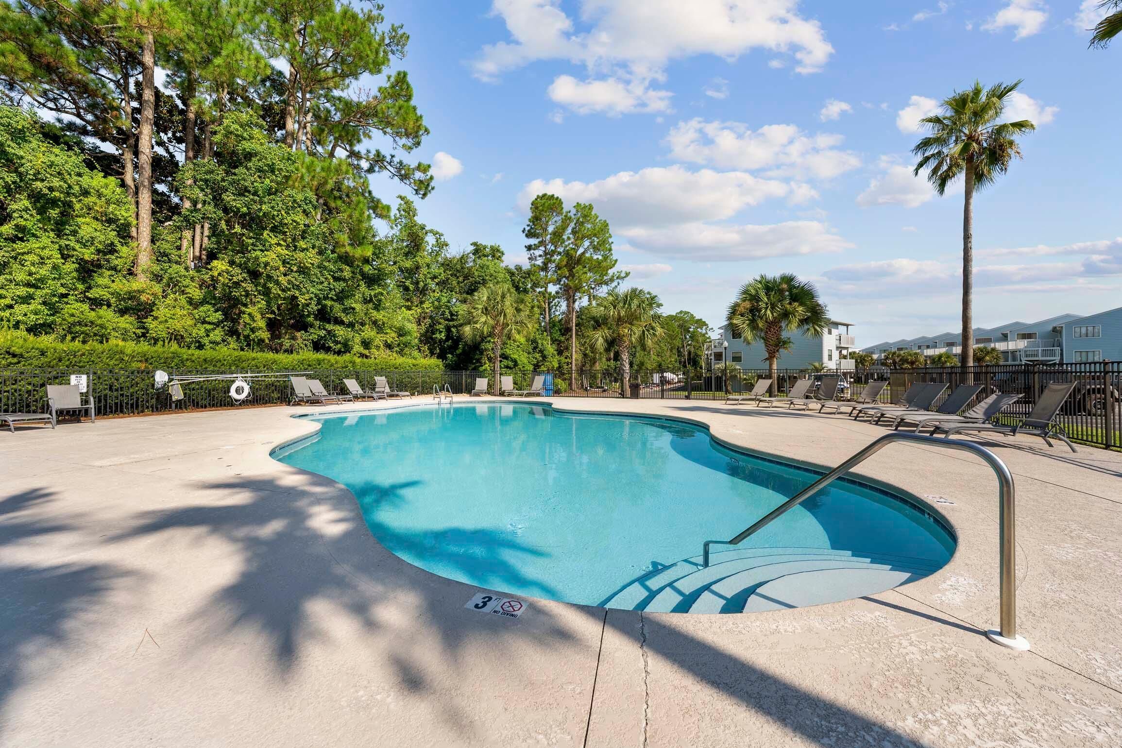 A swimming pool with lounge chairs and palm trees.