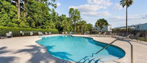 A swimming pool with lounge chairs and palm trees.