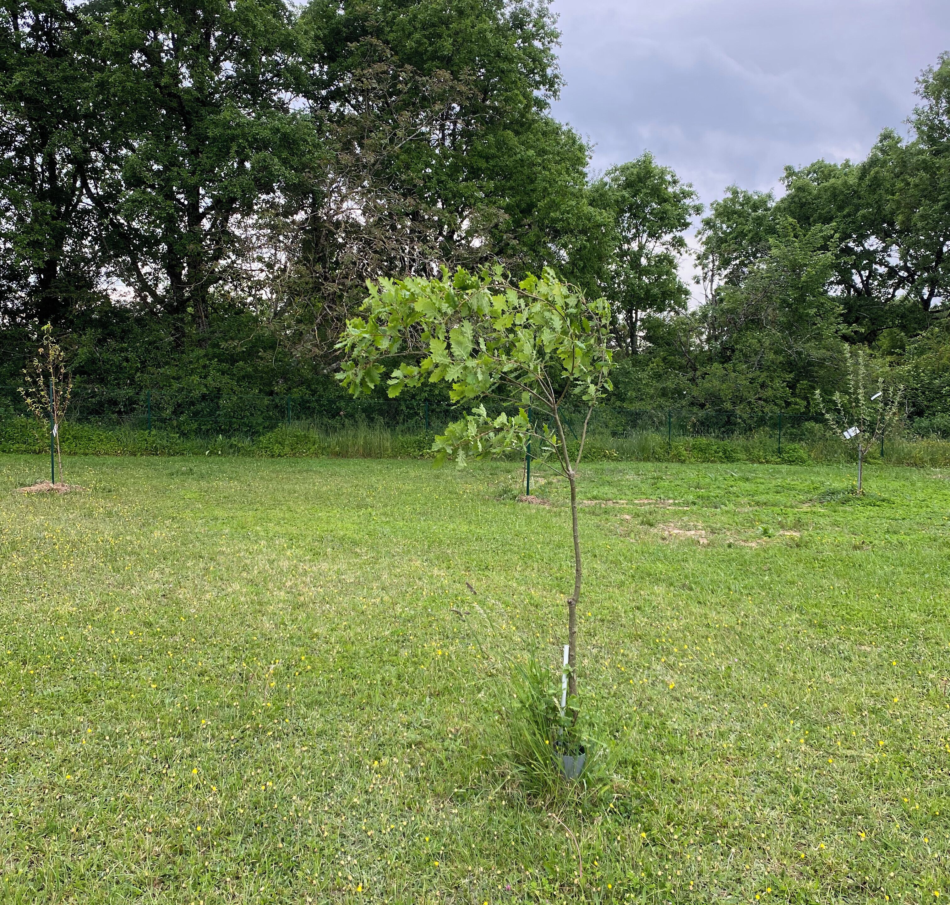 Terrein van de accommodatie