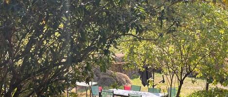 屋外ダイニングエリア