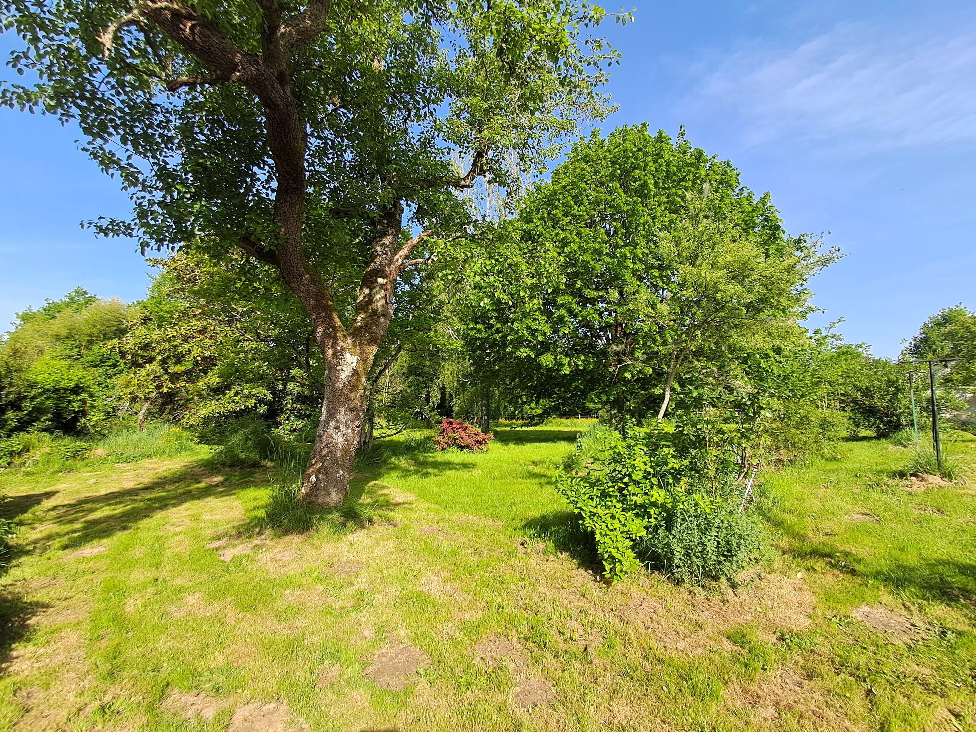 Un jardín exuberante con diversos árboles y arbustos, un cielo despejado y una zona verde bien cuidada.