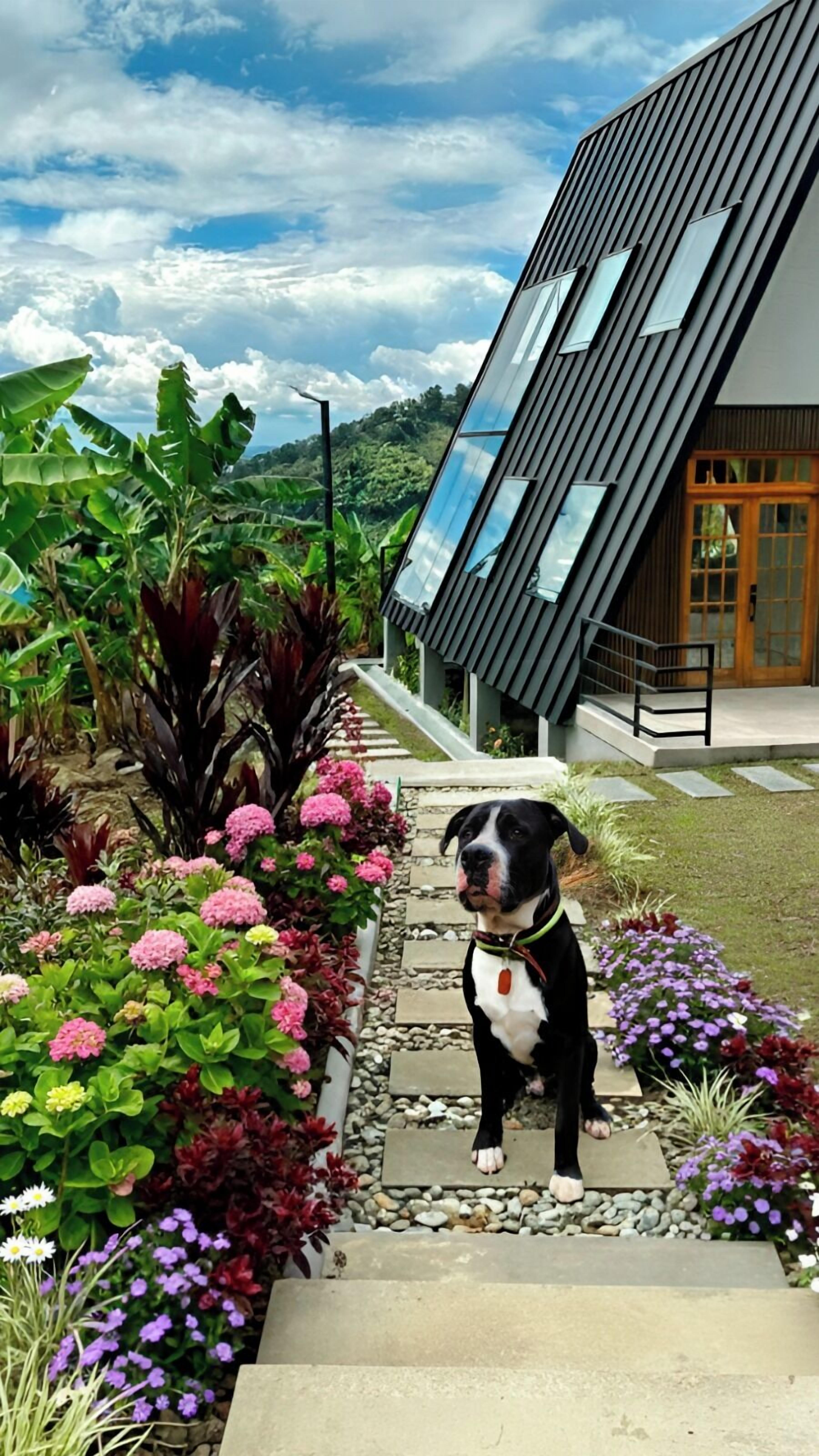 Un edificio moderno con techo inclinado y ventanas amplias, rodeado de un jardín con diversas plantas y flores.
