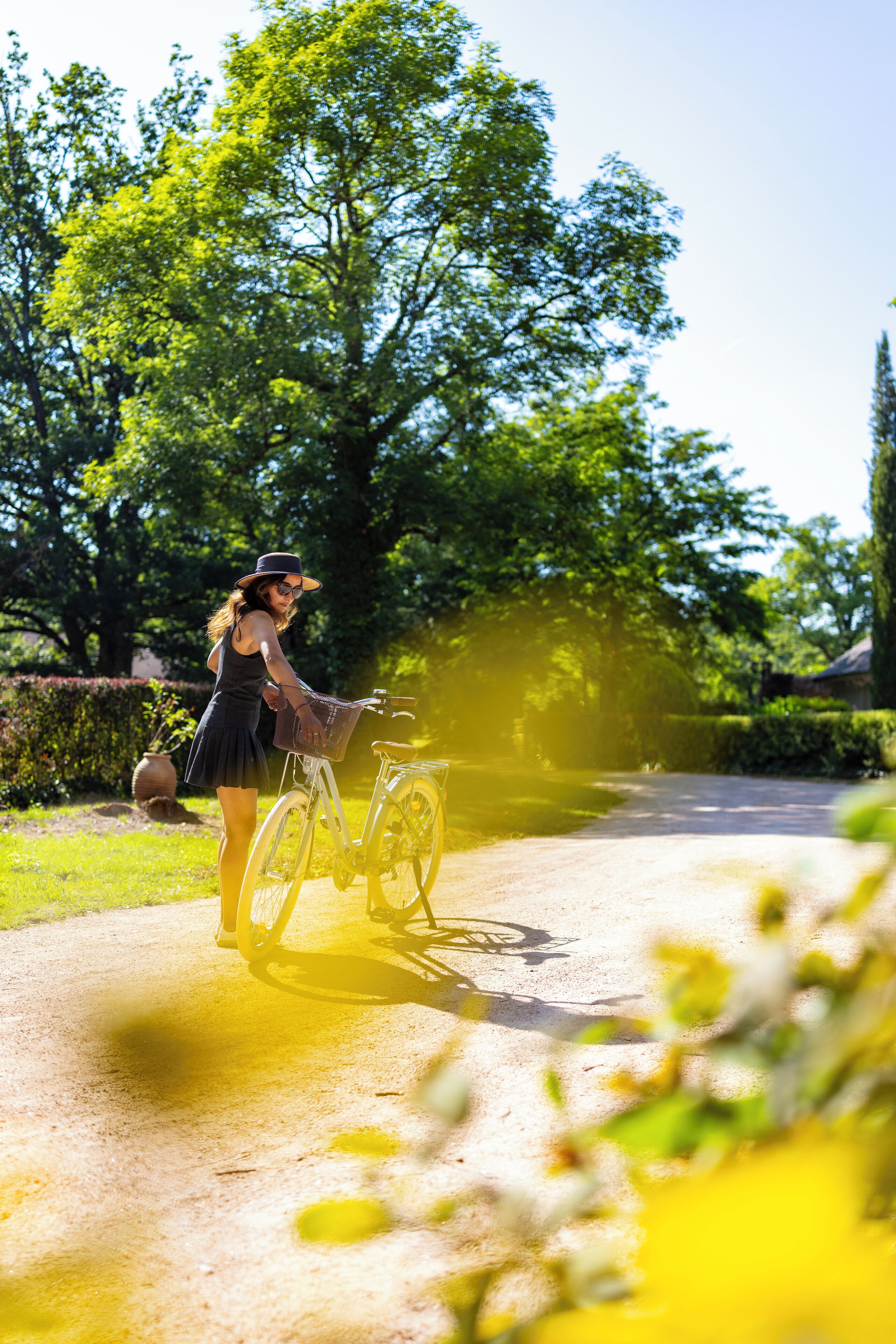 A person riding a bicycle on a paved path in a park with trees and a hedge in the background.
