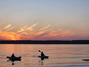 Unclassified image, 4 of 14, button