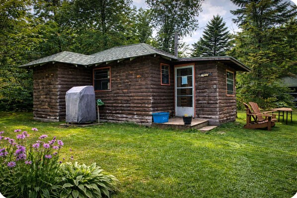 Unclassified image, 1 of 14, button