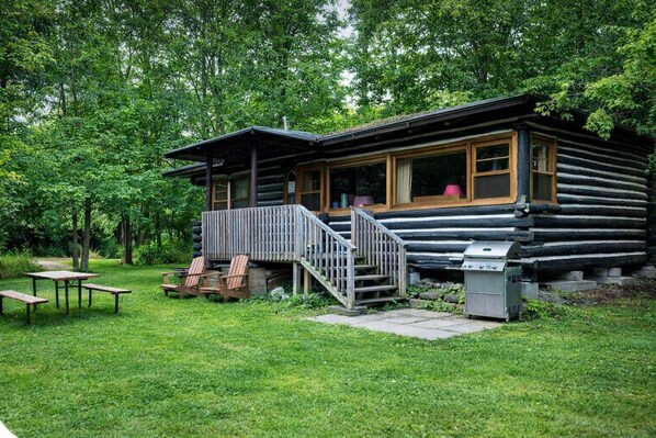 Unclassified image, 1 of 12, button