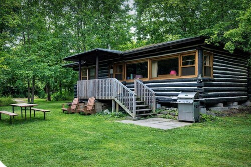 3-Bedroom Cottage on Balsam Lake in Kawarthas #14