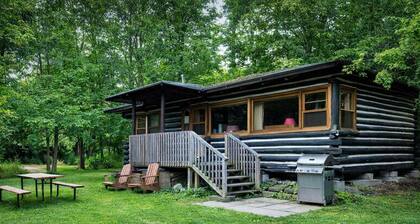 3-Bedroom Cottage on Balsam Lake in Kawarthas #14