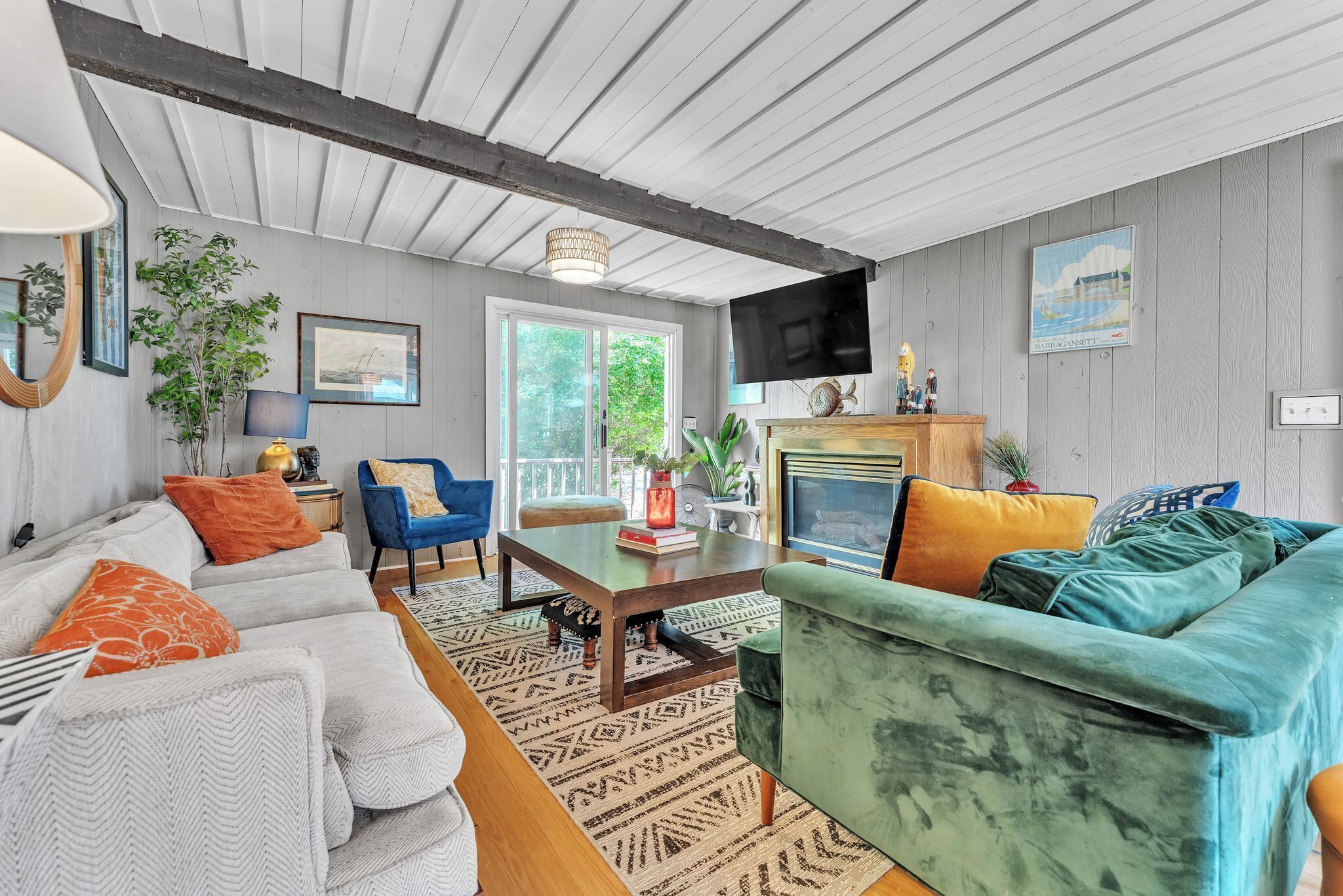 Smart TV, fireplace, books