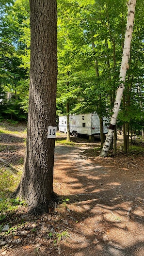 A tree with a sign marked '10' in a wooded campground area with a trailer in the background.