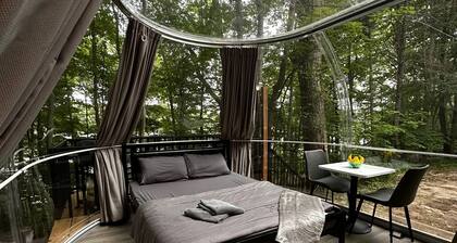 Studio Capsule House in Parry Sound #32