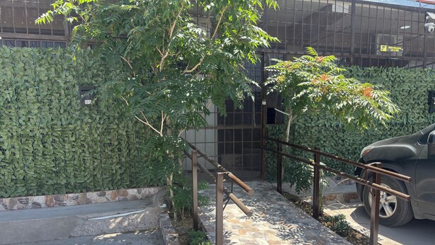 Uma trilha pavimentada que leva a uma área cercada por uma grade de metal e uma árvore.