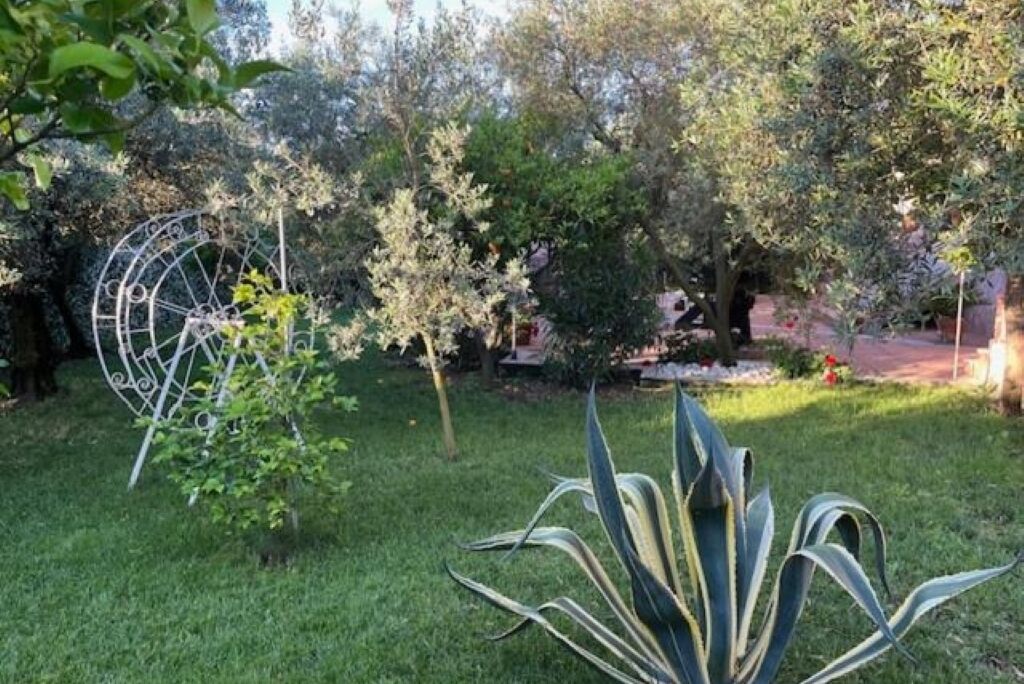 Parco della struttura