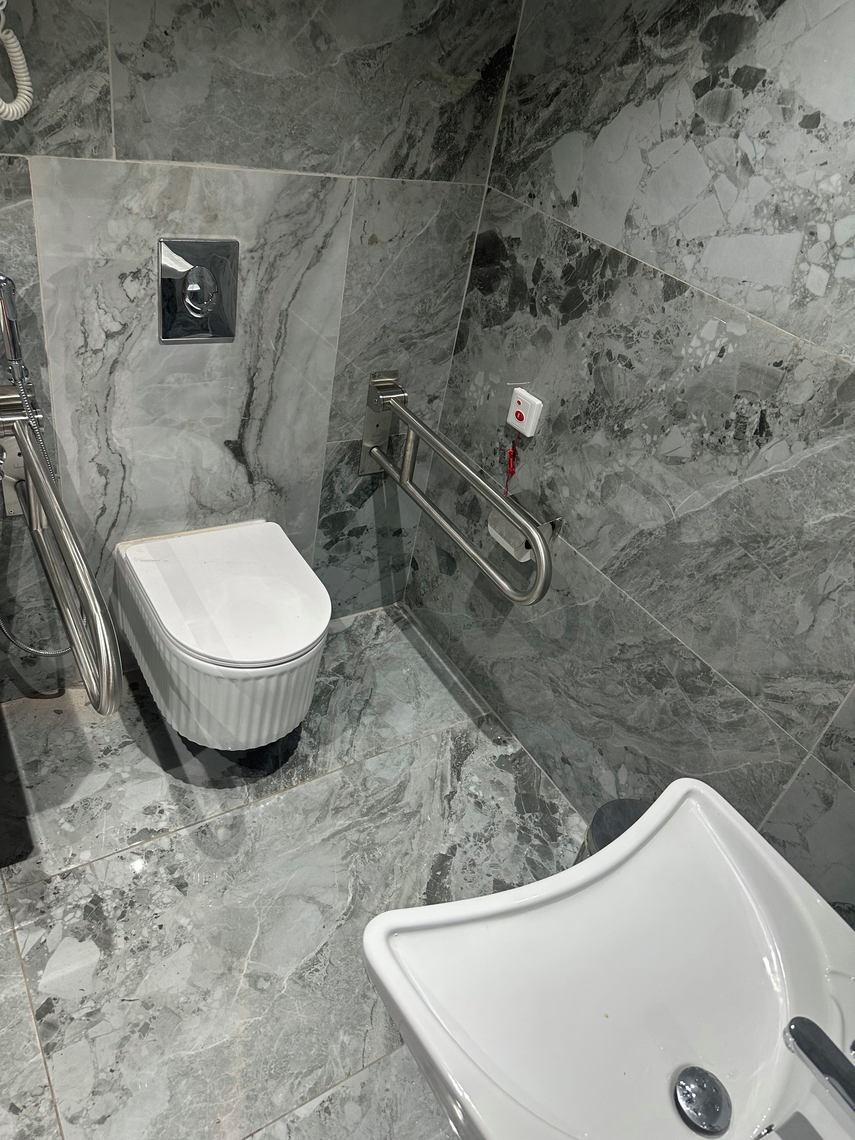 A bathroom with a white toilet, a white sink, and a shower area with a handrail.