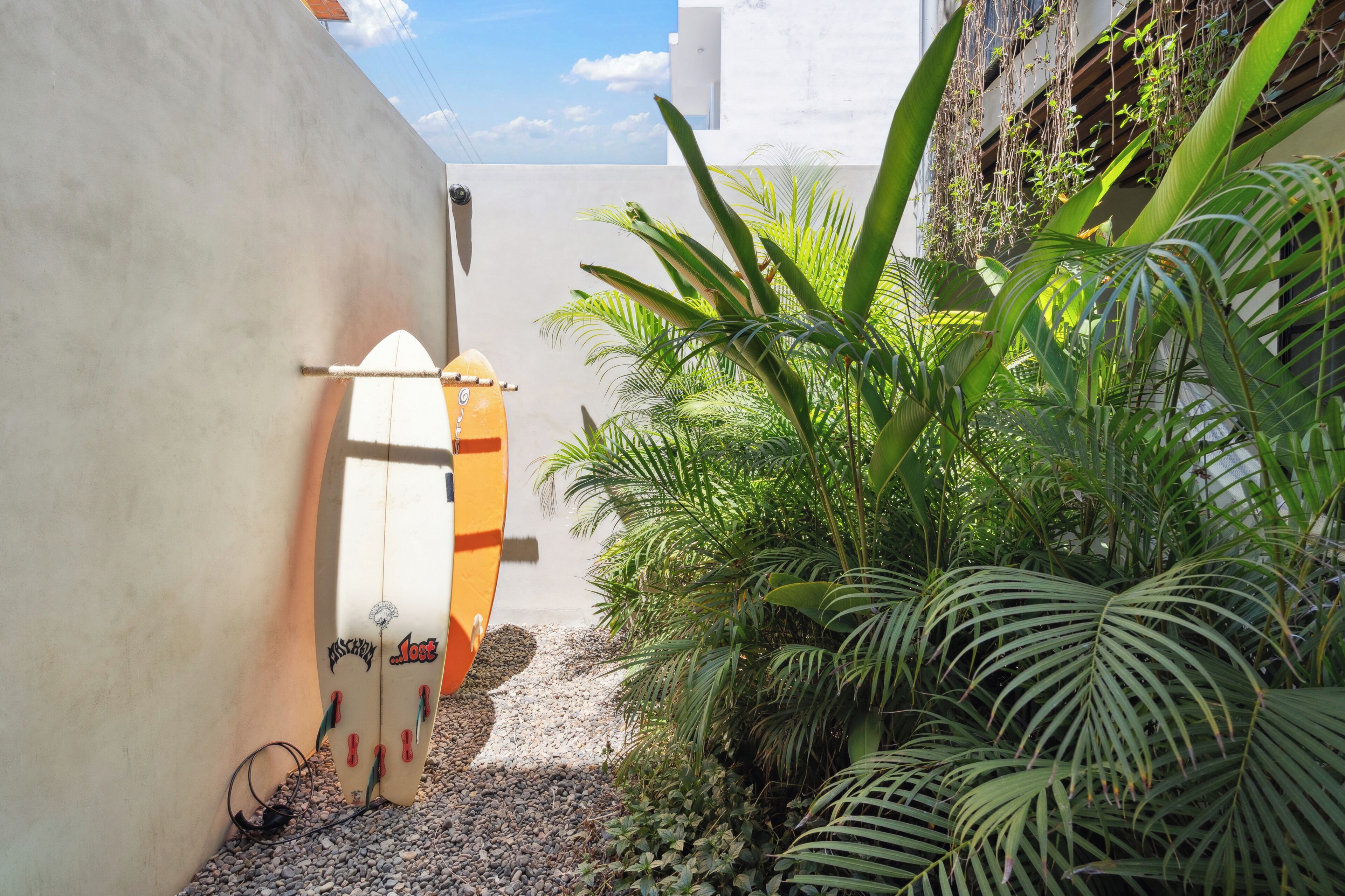 Un étroit sentier bordé de deux planches de surf appuyées contre un mur, entouré d’une végétation luxuriante et verdoyante, sous un ciel dégagé.