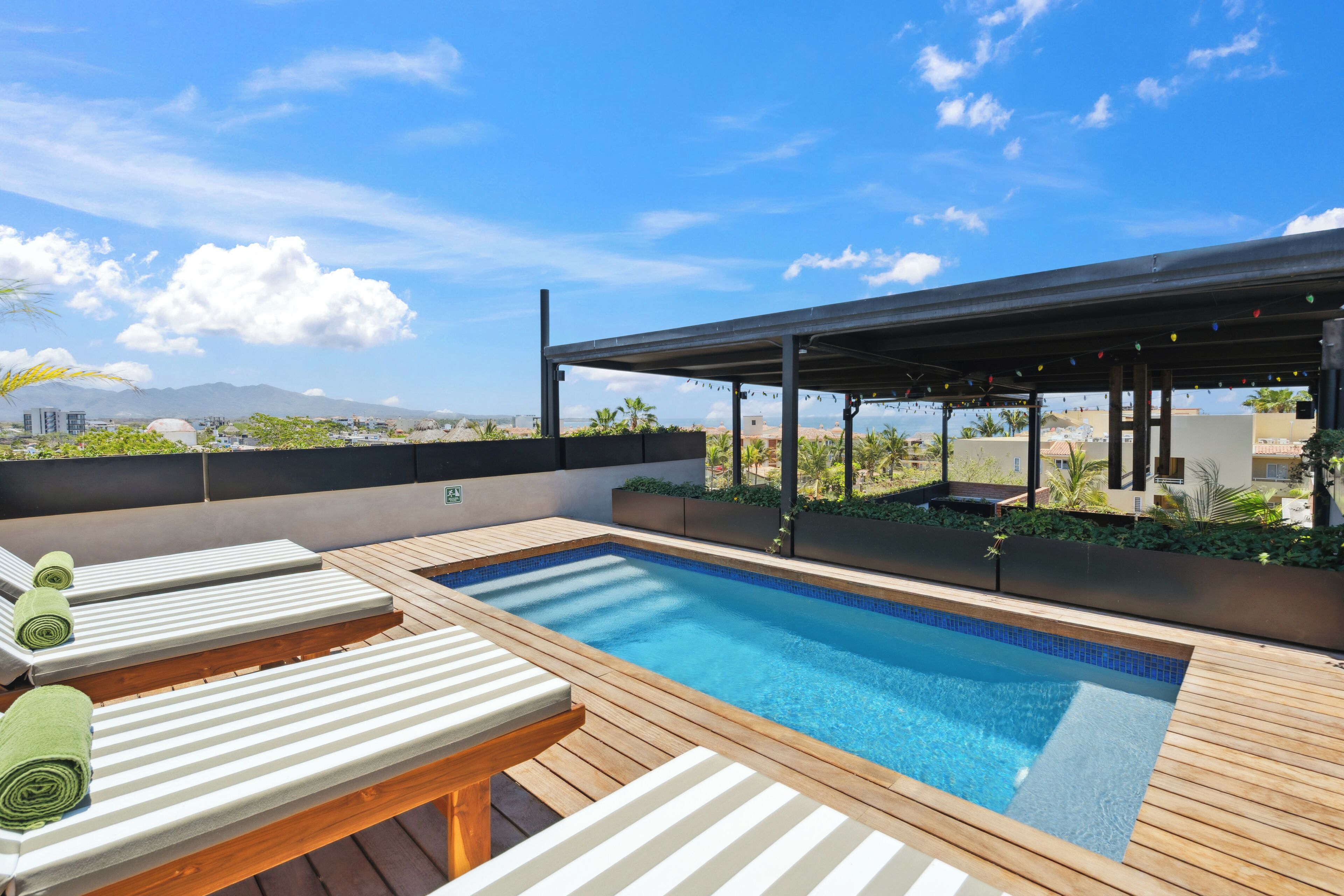 Outdoor pool, sun loungers