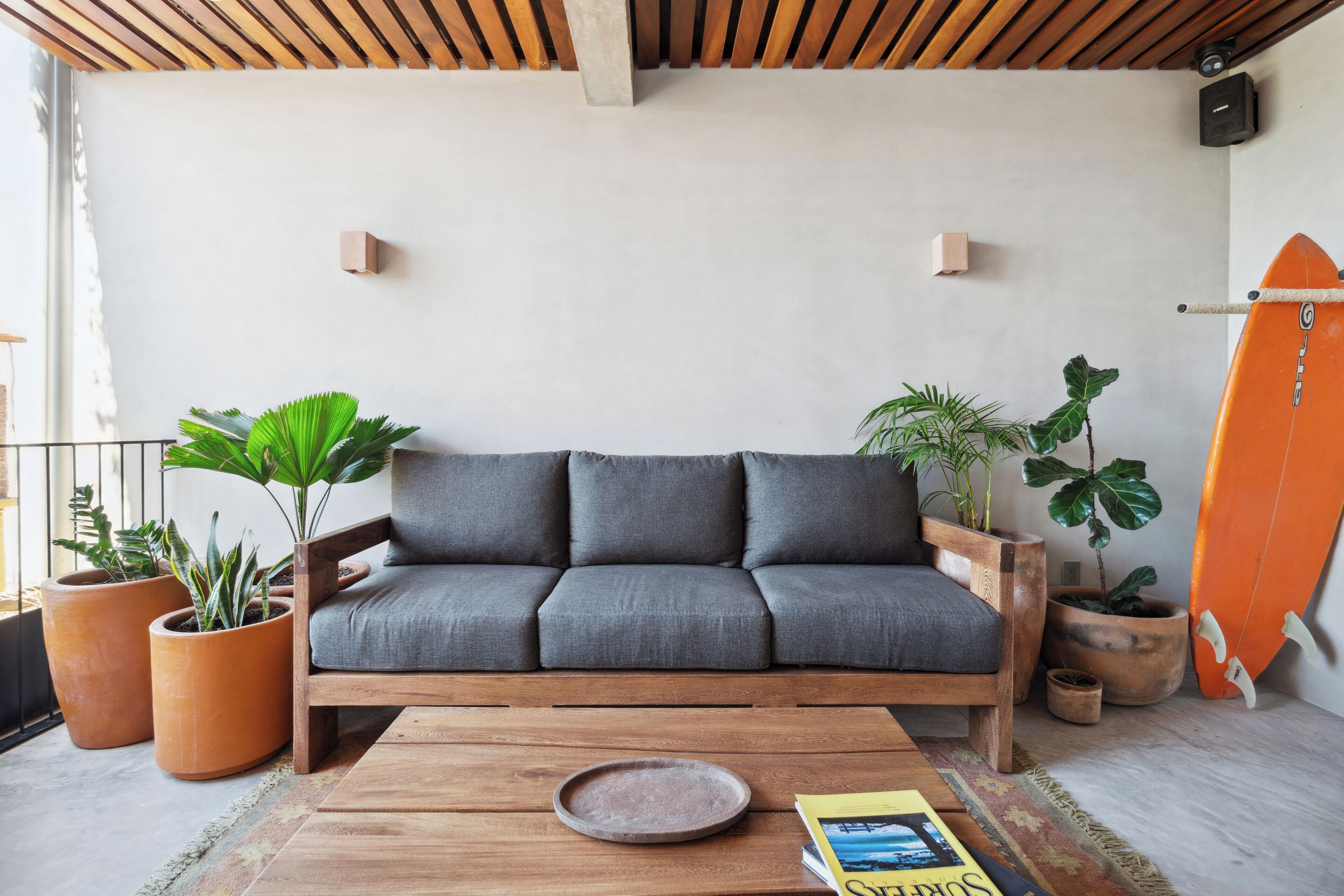 Een moderne woonkamer met een grijze bank, een houten salontafel en grote potplanten.