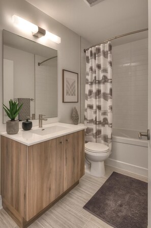 Hair dryer, towels, soap, toilet paper