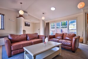 TV, fireplace, books