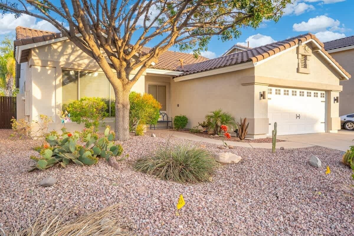 A residential house with a garage, a tree, and a cactus garden.