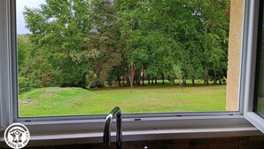 Vista da janela de um jardim verdejante, com árvores e gramado.
