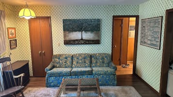 Smart TV, fireplace, DVD player, books