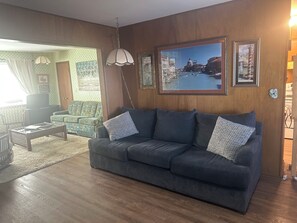 TV connectée, cheminée, lecteur de DVD, livres