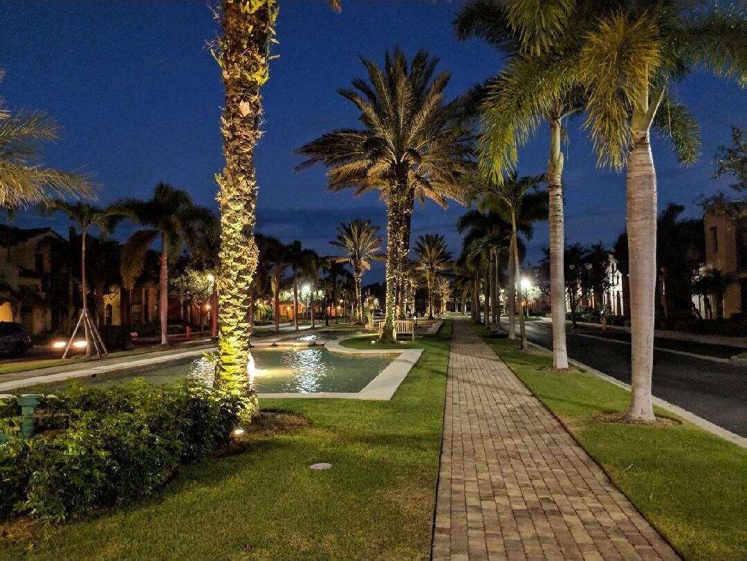A nighttime view of a well-lit street lined with palm trees and a paved walkway.