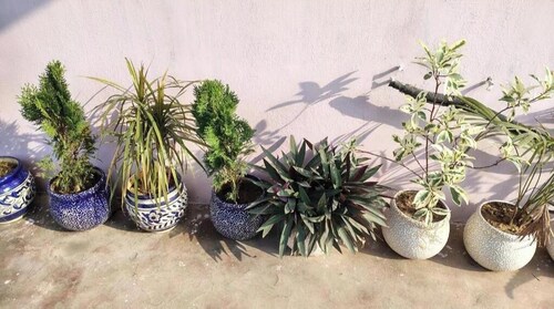 Ali Baba Hostel -Deluxe Double Room