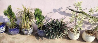 Ali Baba Hostel -Deluxe Double Room