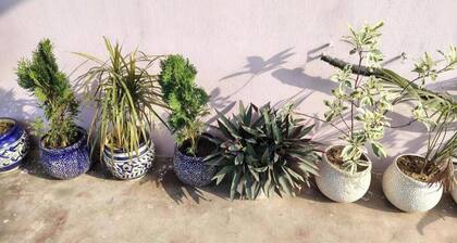 Ali Baba Hostel -Deluxe Double Room