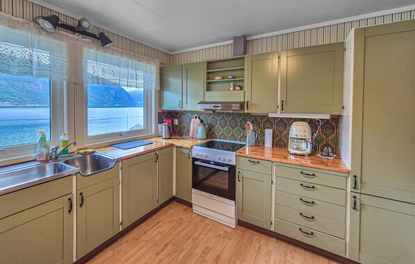 Fridge, oven, stovetop, dishwasher