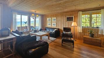 Chimenea y reproductor de DVD