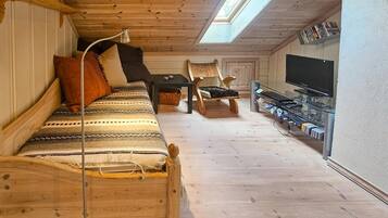 Fireplace, DVD player