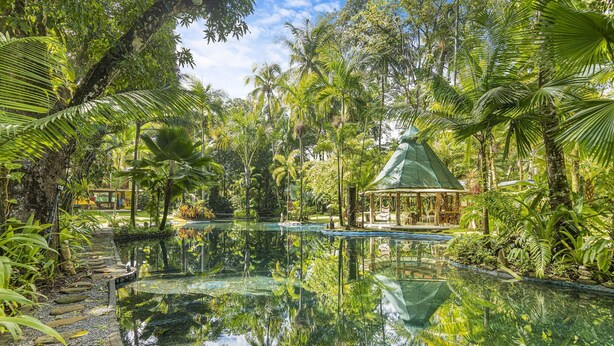 Una piscina tranquila rodeada de abundante vegetación y un pabellón.