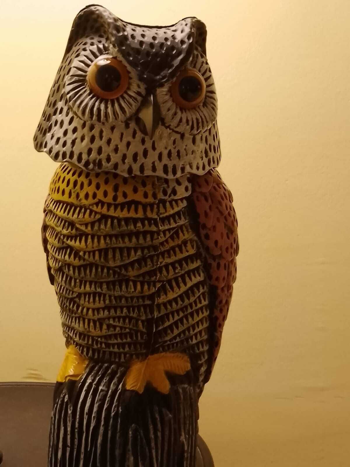 Détail de l’intérieur