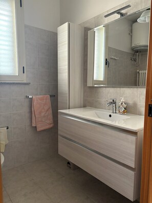 Shower, hair dryer, bidet, towels