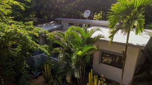 Een modern gebouw met een schotelantenne, omgeven door weelderige begroeiing, waaronder palmbomen en cactussen.